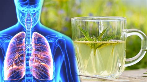 akciğerleri temizleyen doğal detoks